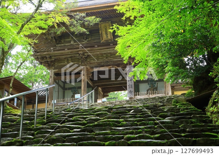 高雄山　神護寺 127699493