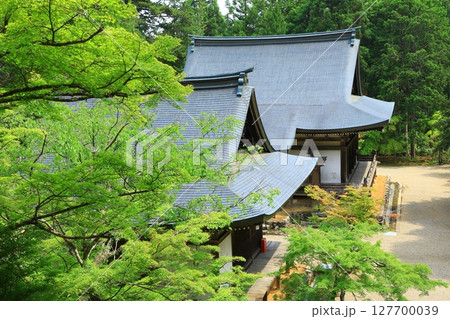 高雄山　神護寺　五大堂と毘沙門堂 127700039