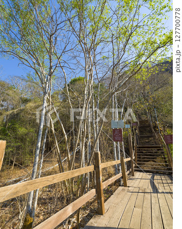 タイ東北部・「ワット・プートーク」の木製参道 / Wat Phu Tok, Thailand 127700778