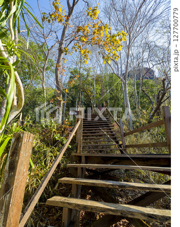 タイ東北部・「ワット・プートーク」の木製階段 / Wat Phu Tok, Thailand 127700779
