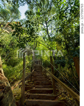 タイ東北部・「ワット・プートーク」の森と参道 / Wat Phu Tok, Thailand 127700783