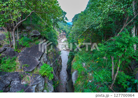 Scenic River Gorge with Lush Greenery Scenic River Gorge with Lush Greenery 127700964