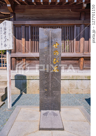 （熊本県）阿蘇神社　せのび石 127701150