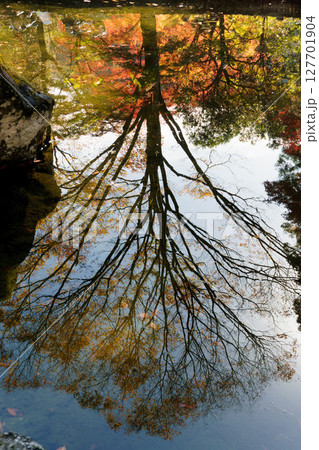 秋の高千穂峡 127701904