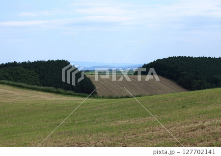 山林を切り開かれた農地 127702141