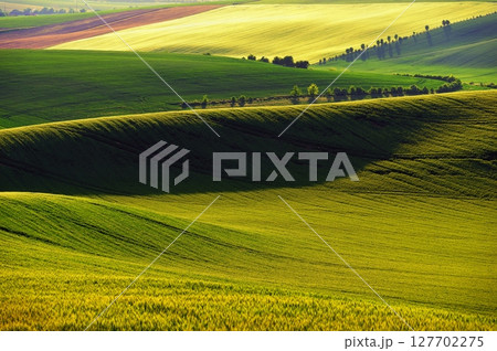 Beautiful spring landscape with field, hills and sunset. Czech Republic - South Moravia (Moravian Tuscany.) Concept for agriculture, travel, environment and nature. 127702275
