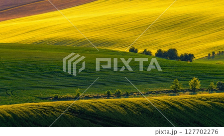 Beautiful spring landscape with field, hills and sunset. Czech Republic - South Moravia (Moravian Tuscany.) Concept for agriculture, travel, environment and nature. Beautiful spring landscape with field, hills and sunset. Czech Republic - South Moravia (Moravian Tuscany.) Concept for agriculture, travel, environment and nature. 127702276