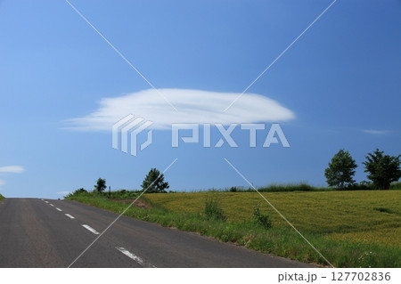丘に浮かぶ白い雲 丘に浮かぶ白い雲 127702836