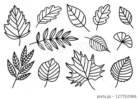 Hand Drawn Black Outline Set of Autumn Leaves 127702966
