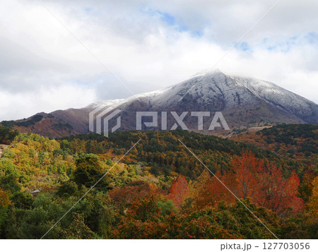 晩秋、白く冠雪した磐梯山と錦の紅葉とのコラボレーションが印象的で綺麗だ。 127703056