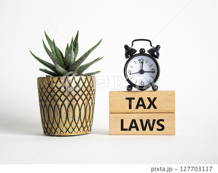 Tax Laws symbol. Concept word Tax Laws on wooden blocks. Beautiful white background with alarm clock and succulent plant. Business and Tax Laws concept. Copy space 127703117