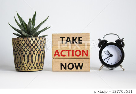 Take action now symbol. Wooden blocks with words Take action now. Beautiful white background with succulent plant and alarm clock. Business and Take action now concept. Copy space. 127703511