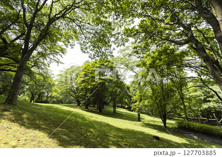 公園で 公園で 127703885