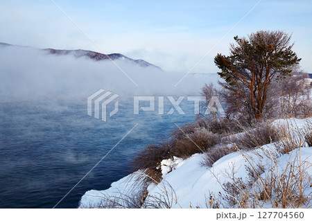 Winter landscape. Fog over an unfrozen river, a pine tree on the shore Winter landscape. Fog over an unfrozen river, a pine tree on the shore 127704560