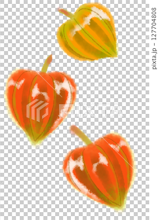 ほおずき 127704808