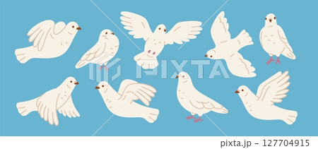 Cartoon white pigeons. City doves in different poses, beautiful wedding symbol, faith, love and peace flying birds, cute funny featheries, freedom character, isolated garish vector set 127704915