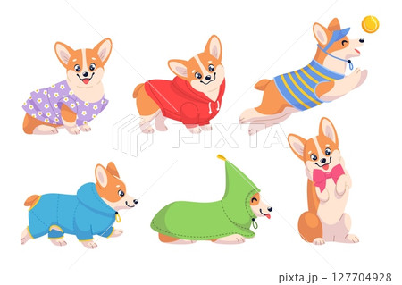 Cute corgi dog in clothes. Funny puppy with different seasons wear, cartoon happy pet character, cartoon mascot, adorable domestic animal playing, stickers collection, classy vector set 127704928
