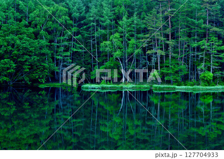 信州　緑に覆われた絶景  神秘的な御射鹿池 127704933