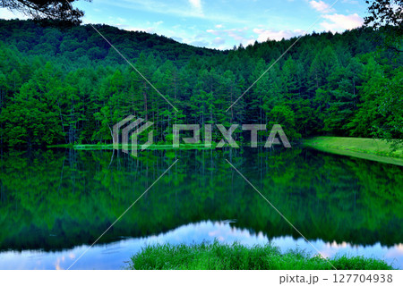 信州　緑に覆われた絶景  神秘的な御射鹿池 127704938