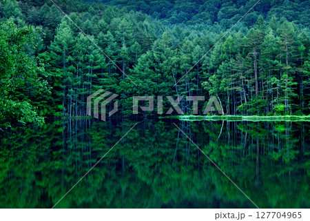 信州 緑に覆われた絶景 神秘的な御射鹿池 信州 緑に覆われた絶景 神秘的な御射鹿池 127704965