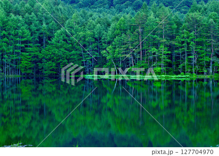 信州　緑に覆われた絶景  神秘的な御射鹿池 127704970