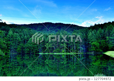 信州 緑に覆われた絶景 神秘的な御射鹿池 信州 緑に覆われた絶景 神秘的な御射鹿池 127704972