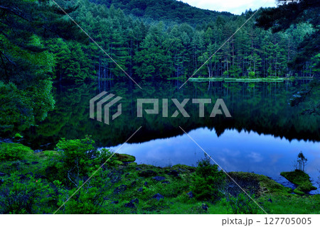 信州 緑に覆われた絶景  神秘的な御射鹿池 信州 緑に覆われた絶景  神秘的な御射鹿池 127705005