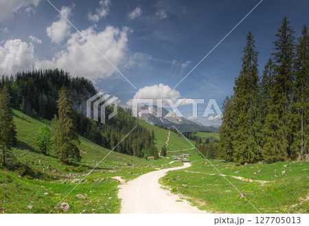 Mountain valley with tracks near Jenner mount in Berchtesgaden National Park 127705013