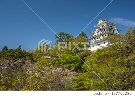 郡上八幡城 天守閣 127705280