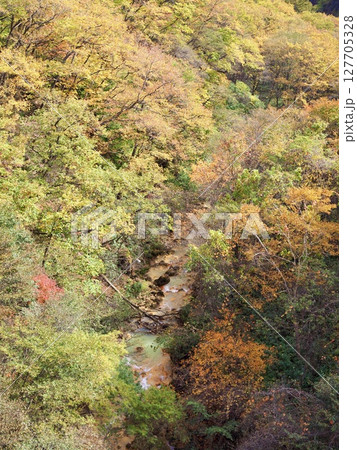 谷沢橋から見た紅葉　草津温泉 127705328
