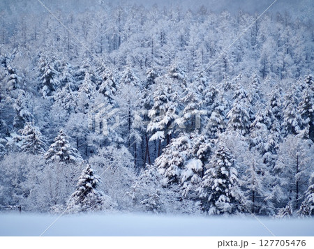 冬の草津温泉　高台から見た景色 127705476