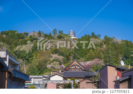 郡上八幡城 城下から天守を望む 郡上八幡城 城下から天守を望む 127705921