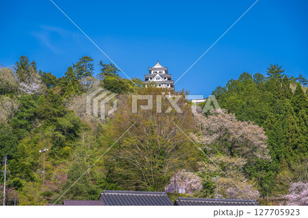 郡上八幡城 城下から天守を望む 郡上八幡城 城下から天守を望む 127705923