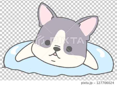 法國鬥牛犬（花斑）漂浮在花車上 127706024