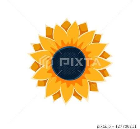 Autumn thanksgiving font type sunflower letter O. Thanksgiving English alphabet font element, autumn harvest vector type letter. Autumnal typeset sign or Fall season kids ABC symbol 127706211