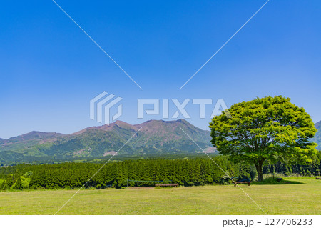 (熊本県)高森町・月廻り公園から眺める阿蘇五岳 (熊本県)高森町・月廻り公園から眺める阿蘇五岳 127706233