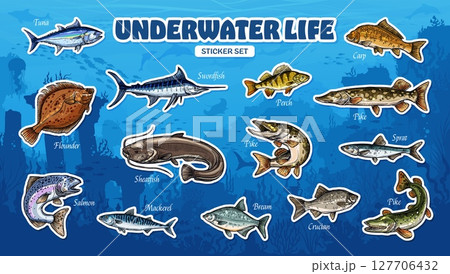 Sketch sea fish stickers, fishing sport and seafood. Vintage hand drawn salmon, tuna, mackerel, flatfish or flounder ocean water animals. Carp, bream, pike and perch river fish stickers pack 127706432