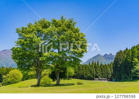 （熊本県）高森町・月廻り公園から眺める根子岳 127706598