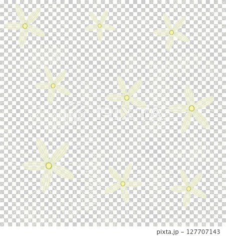 Seamless pattern with delicate lace-like Caltrop flowers 127707143