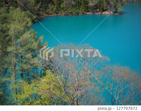 新緑の八ッ場吾妻湖 新緑の八ッ場吾妻湖 127707672