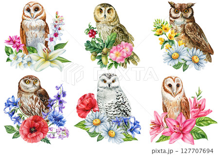 Watercolor owls with wildflowers floral animal clipart set for woodland nursery art prints greeting cards and seasonal decor 127707694
