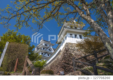 郡上八幡城 桜ノ丸隅櫓と天守 127708260