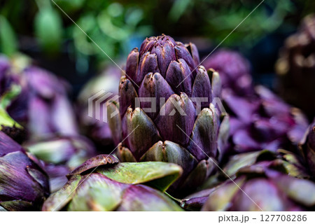 Purple, edible artichoke flowers. 127708286