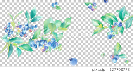 藍莓枝條左右生長的水彩畫。夏季水果橫幅背景。 127708778