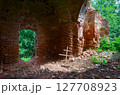 Ruins of Church of St. Peter and Paul in village of Vyshov, Mogilev region, Belarus 127708923