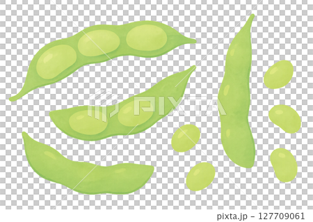 枝豆とさや・豆のバリエーション水彩イラスト PNG 透過背景素材 127709061
