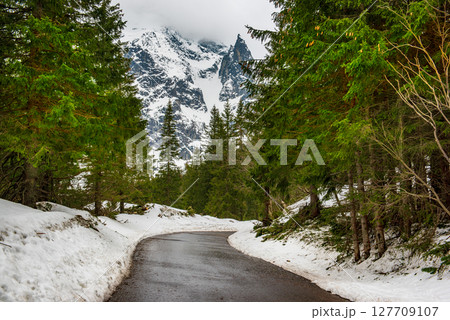 Mountain fir forest and the road near Morskie Oko Lake in Poland at Winter. Tatras mountains 127709107