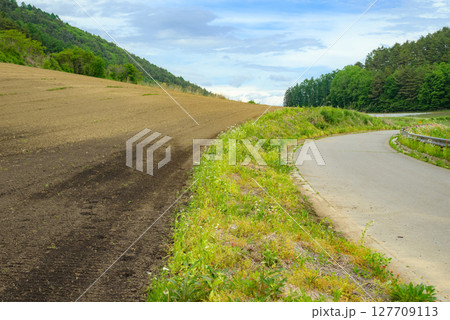 山間地の畑 山間地の畑 127709113