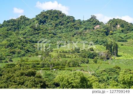 【台湾/台東県】バンレイシ畑と頂岩湾四格山 【台湾/台東県】バンレイシ畑と頂岩湾四格山 127709149