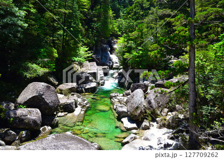 屋久島　渓流 127709262